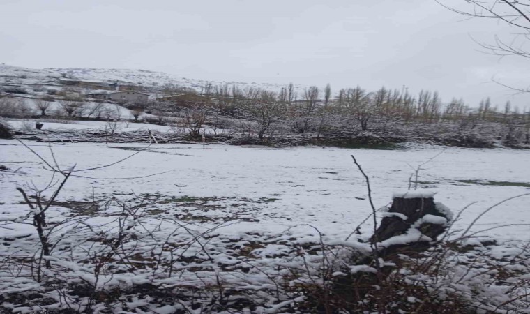 Afyonkarahisarda ‘Mart kapıdan baktırdı