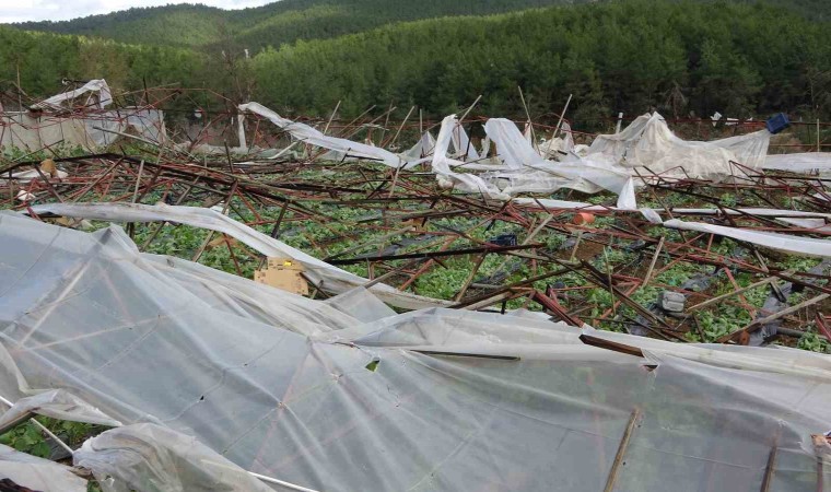 Alanyada hortum 250 dönümden fazla seraya zarar verdi