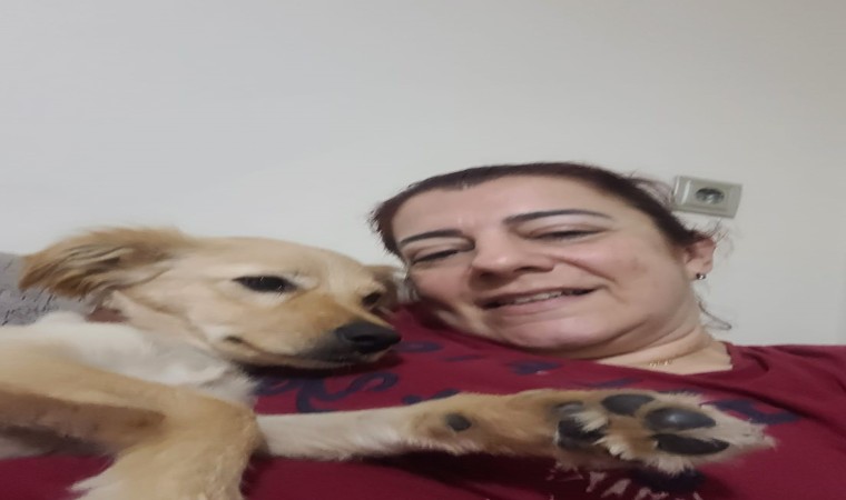 Aydındaki köpek eğitmeni mağdurlarının sayısı artmaya başladı