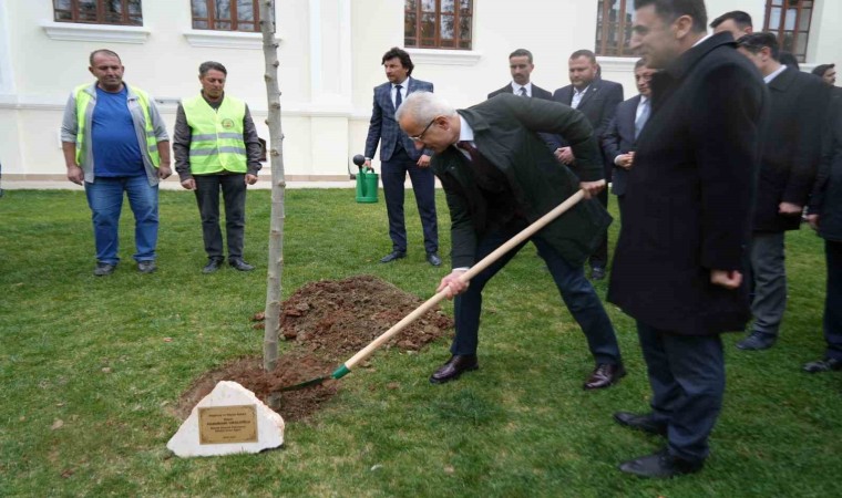 Bakan Uraloğlu Bilecikte çınar fidanı dikti