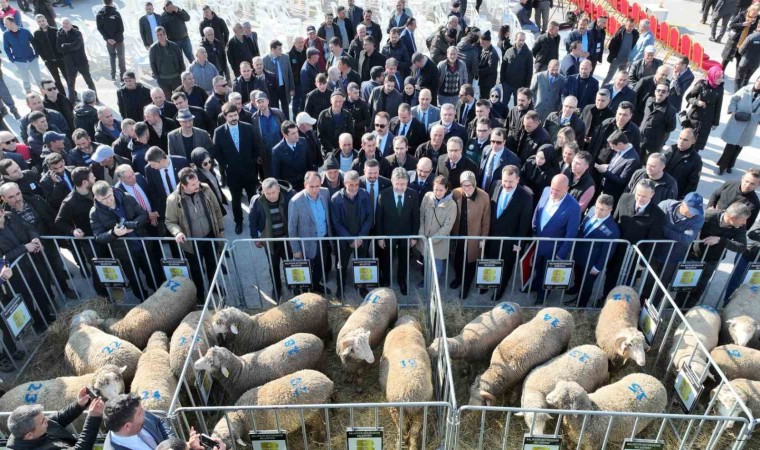 Bakan Yumaklı: Balıkesirin potansiyeli, bizim bu zamana kadar tahayyül ettiklerimizin daha ötesinde