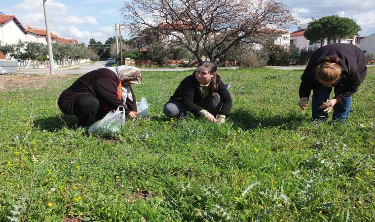 Balıkesirde ot festivali düzenlenmesi istediler