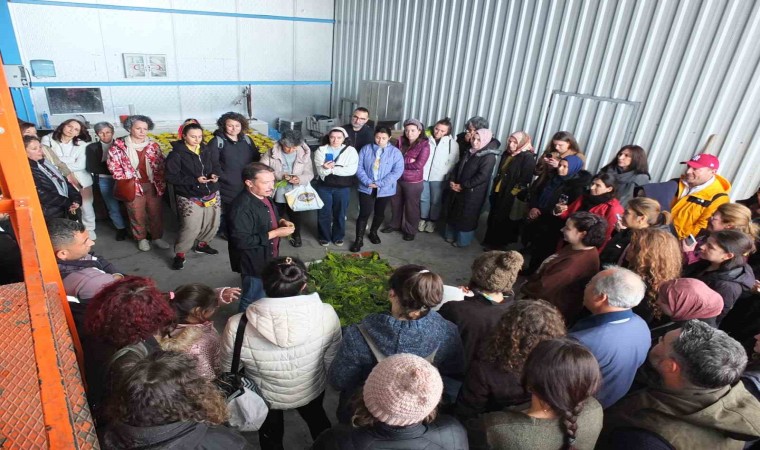 Balıkesirde tıbbi aromatik bitki yetiştiriciliği kurslarına yoğun ilgi