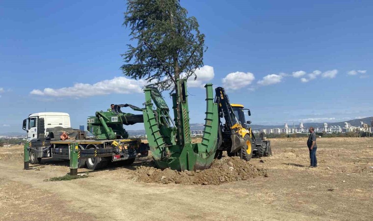 Başkan Aktaştan Hamitlere Botanik Parkı müjdesi