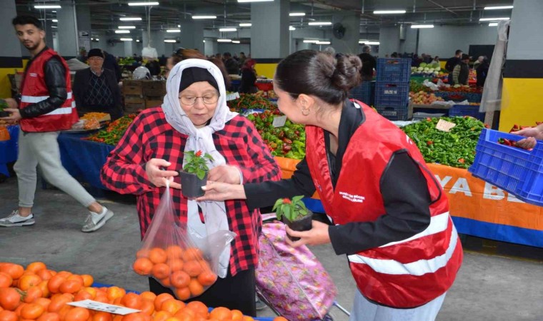 Başkan Böcekten, Alanyalı kadınlara aşk çiçeği hediyesi