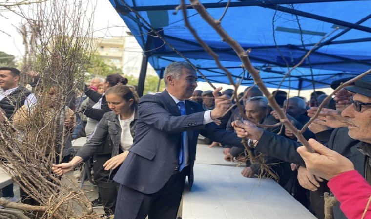 Başkan Eroldan badem fidanı dağıtımı