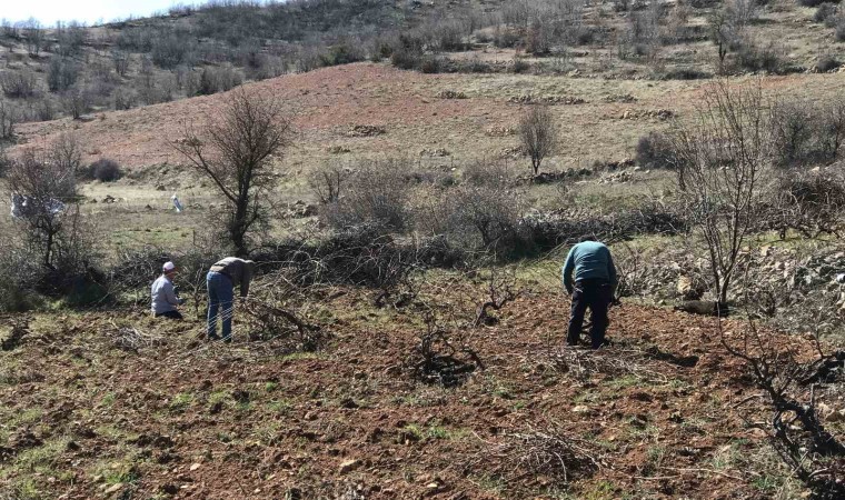 Batmanda imece usulü bağ budama