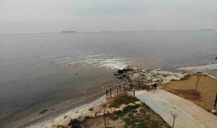 Beylikdüzünde kanalizasyon sularının denize aktığı yerde, deniz kahverengi döndü