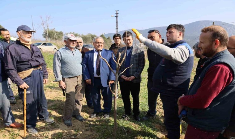 Bilecikli çiftçilere ağaç budama eğitimi verildi