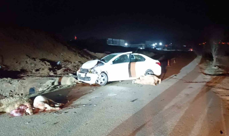 Bilecikte otomobil koyun sürüsüne çarptı, 1 kişi yaralandı