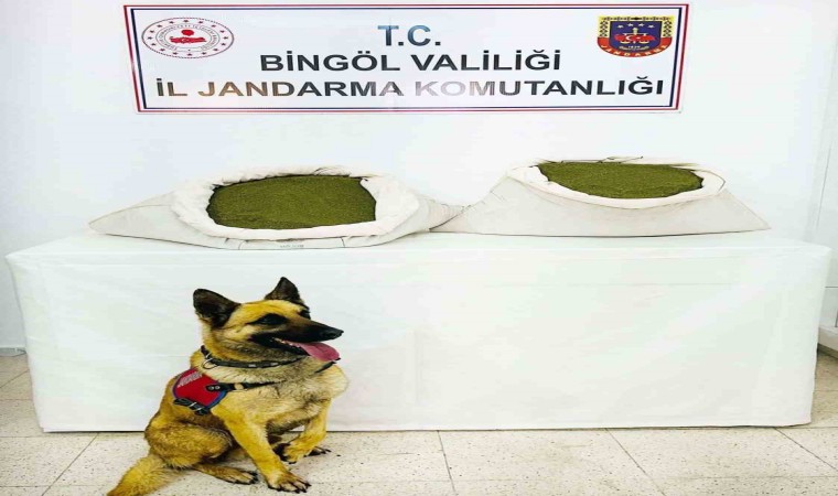 Bingölde 45 kilo esrar ele geçirildi