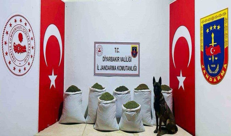 Diyarbakırda 129 kilo toz esrar ele geçirildi