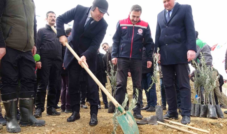 Dünya Ormancılık Gününde huzurevi bahçesine 2 bin fidan dikildi