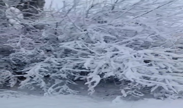 Elazığ Baskilde kar yağışı etkili oldu