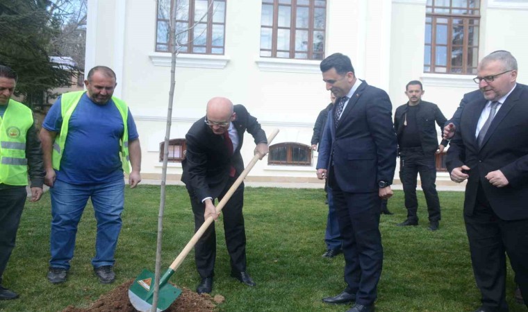 Hazine ve Maliye Bakanı Mehmet Şimşek Bilecikte çınar fidesi dikti