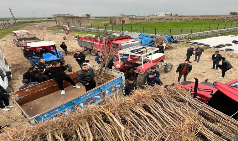 İzmirli iş adamından Cizreli çiftçilere meyve fidesi desteği