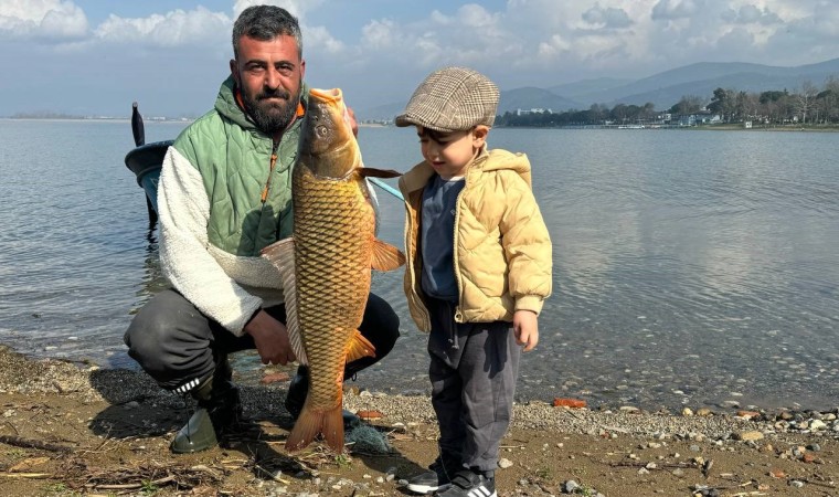 İznik Gölünde sazan bereketi