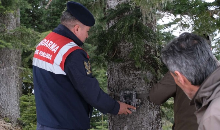 Jandarma ekipleri Dünya Yaban Hayatı Gününde doğaya yem bıraktı