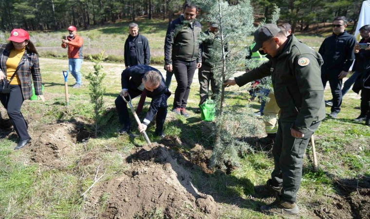 Kazdağlarında fidanlar toprak ile buluştu