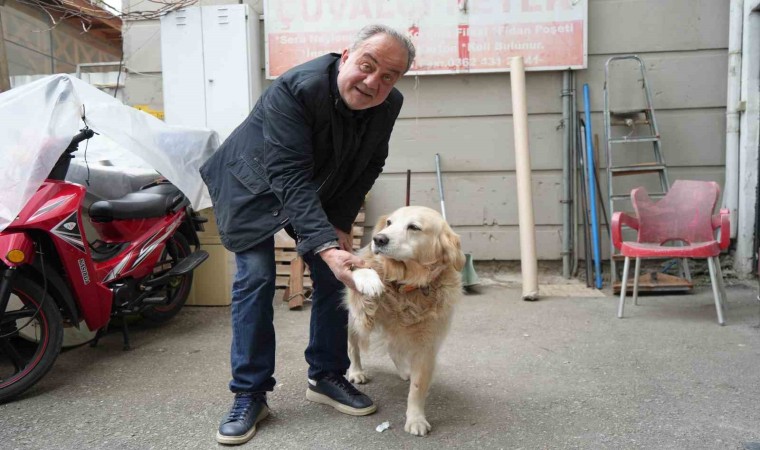 Köpeğin doktora havlaması sahibine 700 bin TLye patladı