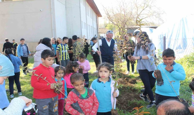 Köyceğizde okul bahçesi keçiboynuzu fidanları ile donatıldı