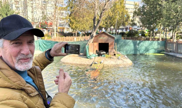 Kuğulu Parkın yeni dünyaya gelen yavru siyah kuğularına yoğun ilgi