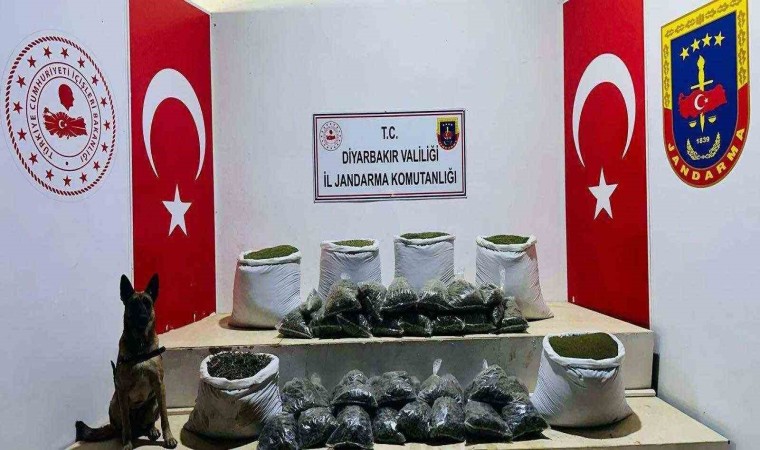 Licede 226 kilo esrar ele geçirildi