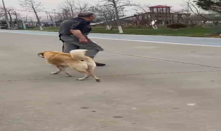 Maltepe sahilde atık yağları kayalıklara döktü