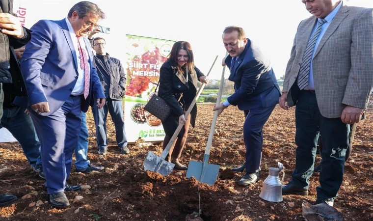 Mersinde Siirt Fıstığı Mersinde projesi kapsamında fidan dağıtıldı