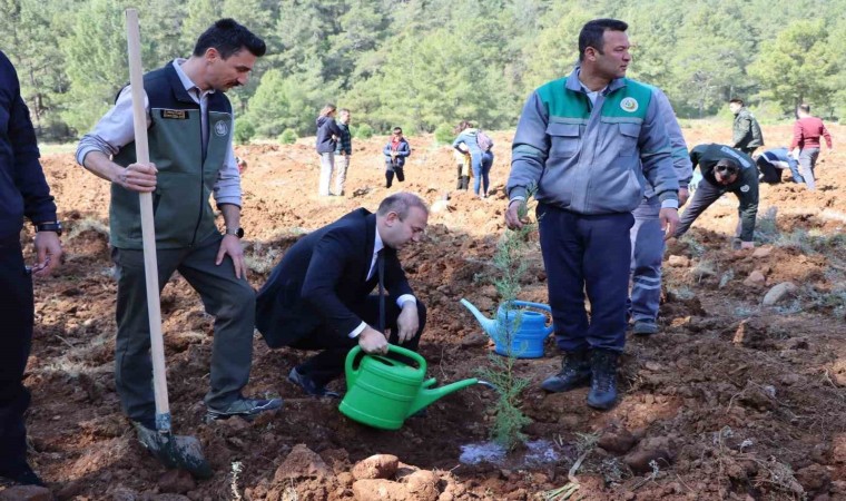 Orman Haftasında Köyceğizde fidan dağıtımı ve dikimi yapıldı