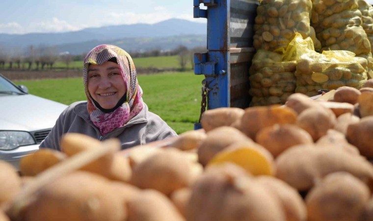 Patates diyarında çiftçiler ekim mesaisinde