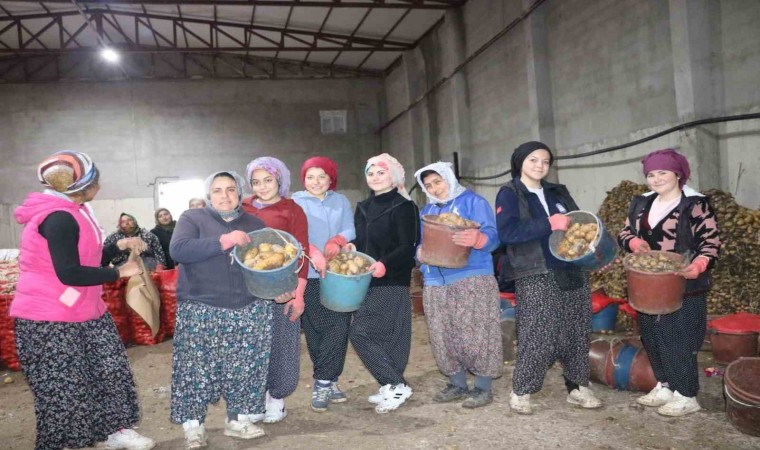 Patates işçisi kadınlar 8 Martı işlerinin başında geçirdi