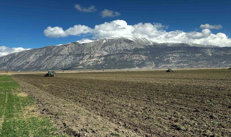 PAÜ Ziraat Fakültesi, Çivrilde kurulan uygulama arazisinde Ar-Ge çalışmalarına başladı