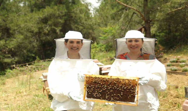 Ramazan ayı beslenme zincirinde propolis ve polen tavsiyesi