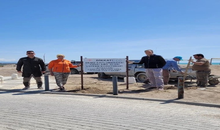 Sahillerde deniz kaplumbağalarına karşı uyarı levhaları