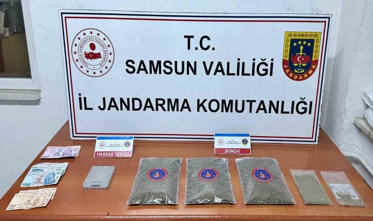 Samsunda jandarma 1 kilo 50 gram bonzai ele geçirdi: 1 gözaltı