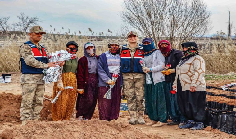 Siirtte jandarma kadınlara karanfil dağıtarak günlerini kutladı