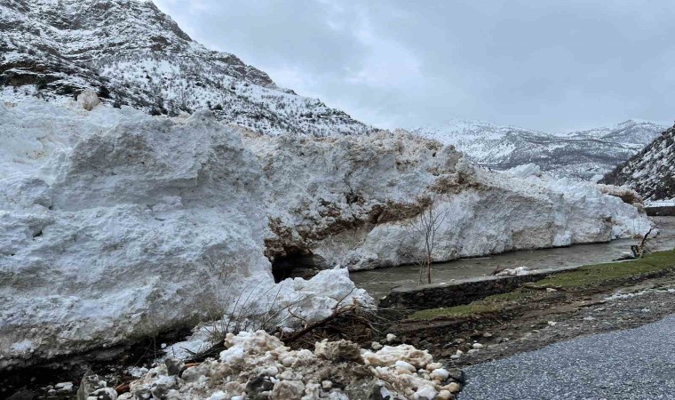 Siirtte kar nedeniyle yolda mahsur kalan araçlar kurtarıldı