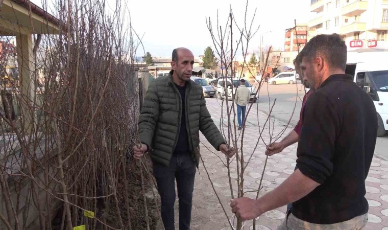 Siirtte yüzlerce meyve fidanı toprakla buluşmayı bekliyor