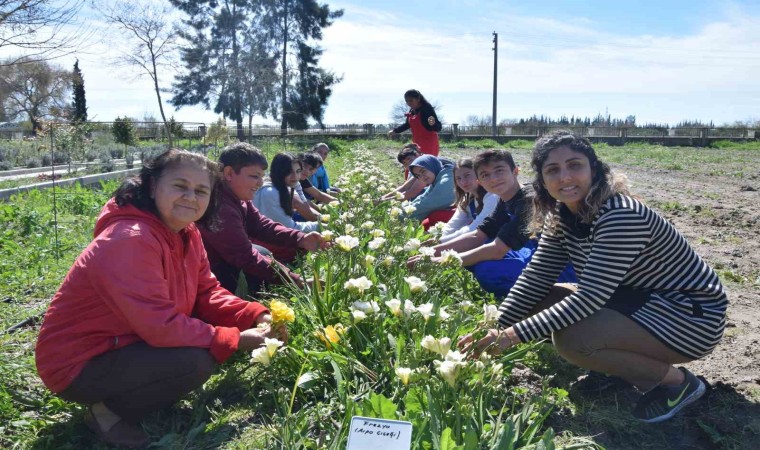 Tarım Lisesi öğrencileri ilk defa kesme çiçek yetiştirdi