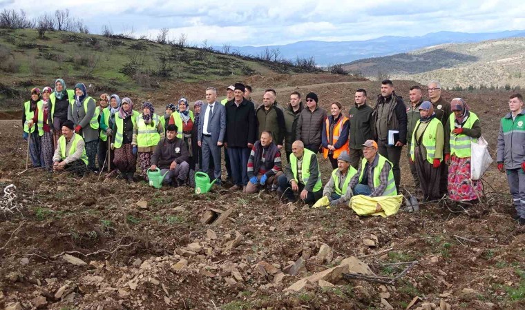 Tavşanlıda yanan ormanlık alanlar tekrar ağaçlandırılıyor