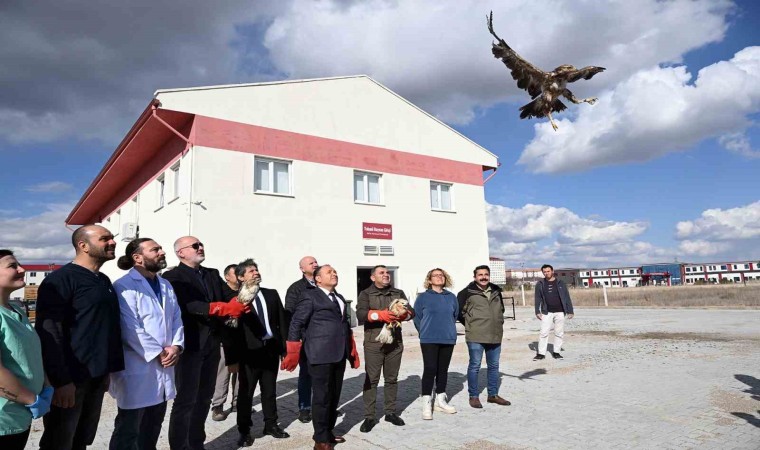 Tedavisi tamamlanan yırtıcı kuşlar doğaya salındı