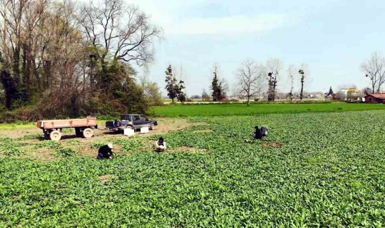 TR83 Bölgesinde istihdam azaldı, işsizlik arttı