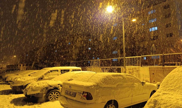 Vanda mart ayında lapa lapa kar yağdı