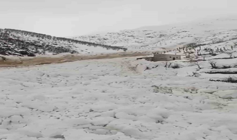 Yüksekovada çığ düştü, köyün şehirle ulaşımı kesildi