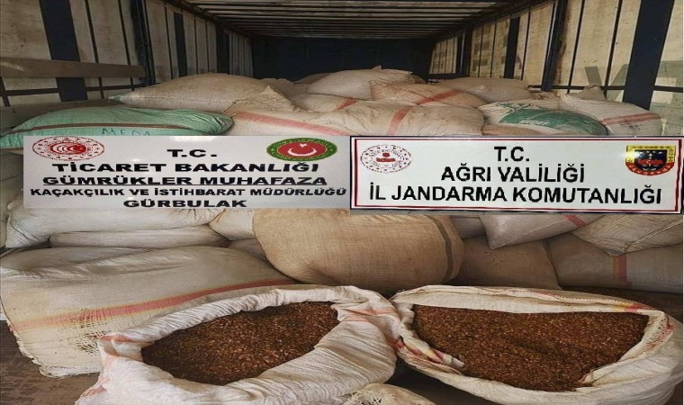 Ağrıda 7 ton 700 kilo kak tütün ele geçirildi