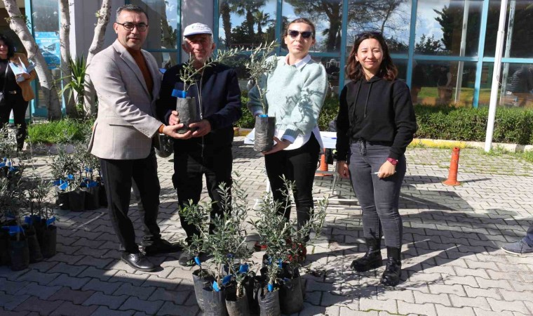 Antalya Büyükşehir Belediyesinden Serikli çiftçilere 700 zeytin fidanı