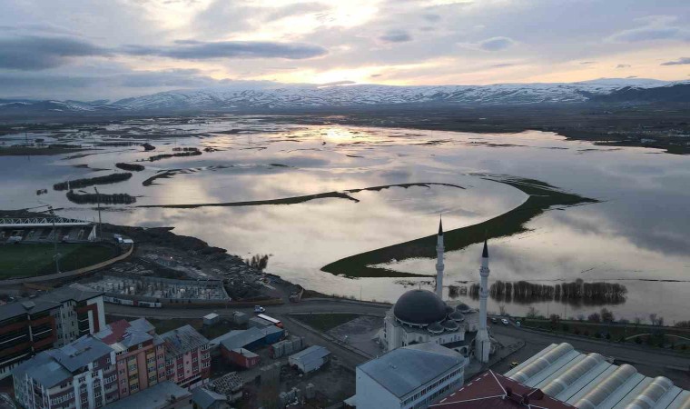 Ardahanda nehir taştı, ova göle döndü