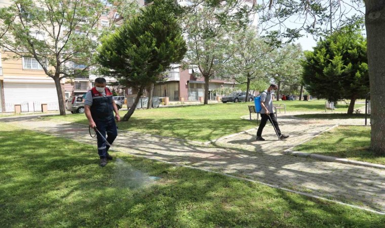 Bayraklı park ve bahçelerinde ilaçlama yapıldı