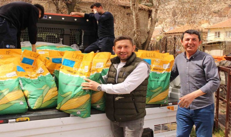 Büyükşehir Belediyesinden silajlık mısır tohumu desteği